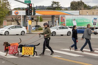 4/25/2025 Protest on the corner of Castro Valley Blvd and Redwood Road