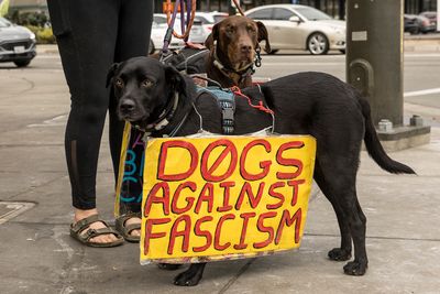 11/12/2025 Protest of Trumps Fascist Regime