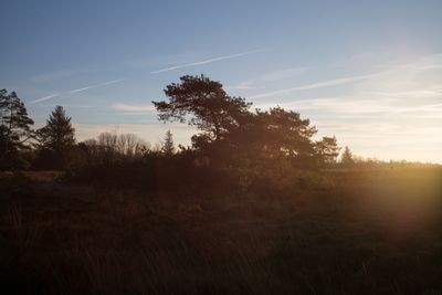 g13/16/557816/3/175154071.5d45a189.JPEG