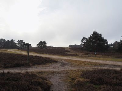 g13/16/557816/3/175244145.78cccc88.JPEG