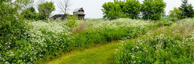 P1100848.JPG