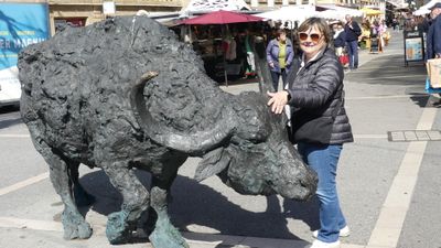 IMG_2085.JPG