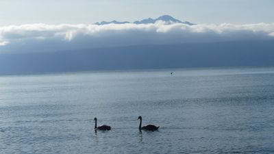 IMG_2202.JPG