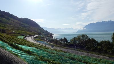 IMG_2339.JPG