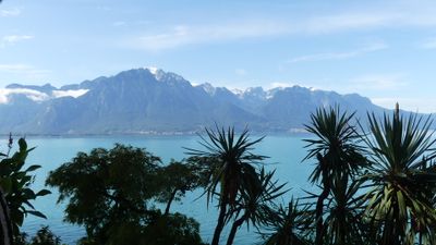 IMG_2373.JPG