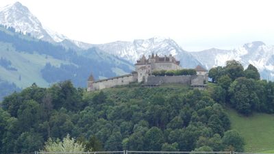 IMG_2401.JPG