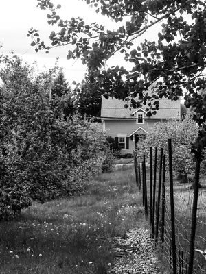 g13/16/611316/3/175485662.f6e512c4.JPEG