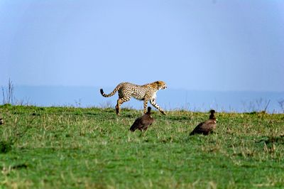 _IMG3003.jpg