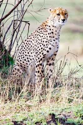 _IMG2997.jpg
