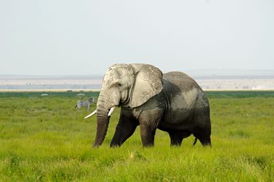 _IMG2589.jpg
