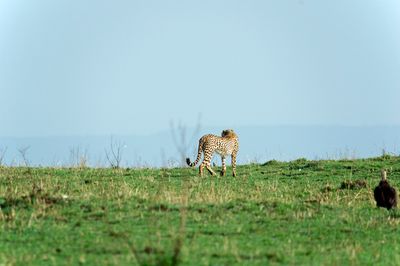 _IMG3004.jpg