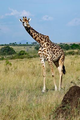 _IMG2840.jpg