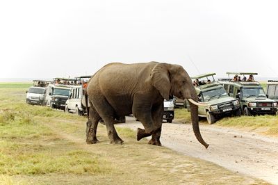_IMG2458.jpg