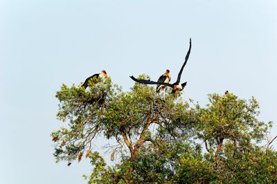 _IMG2979.jpg