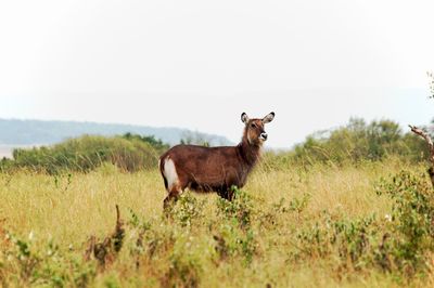 _IMG3052.jpg