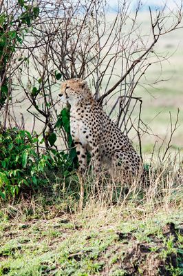 _IMG2991.jpg