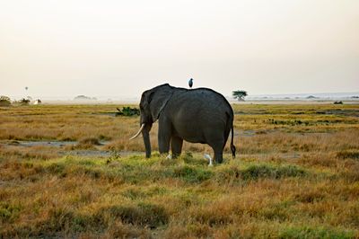 _IMG2499.jpg