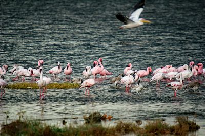 _IMG2681.jpg
