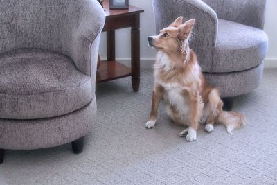 g13/16/721416/3/174781981.7d1e7cad.JPEG