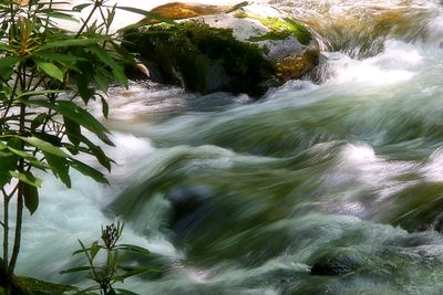 g13/16/721416/3/175002393.18841f8c.JPEG
