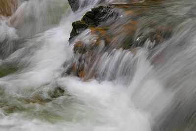 g13/16/721416/3/175114752.b262f5e7.JPEG