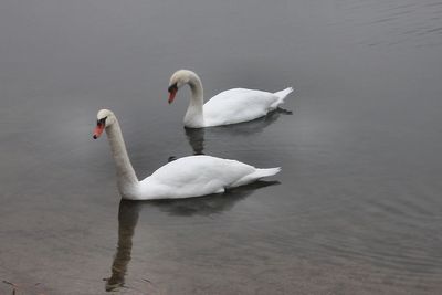 g13/16/721416/3/175249627.e05ac9ae.JPEG