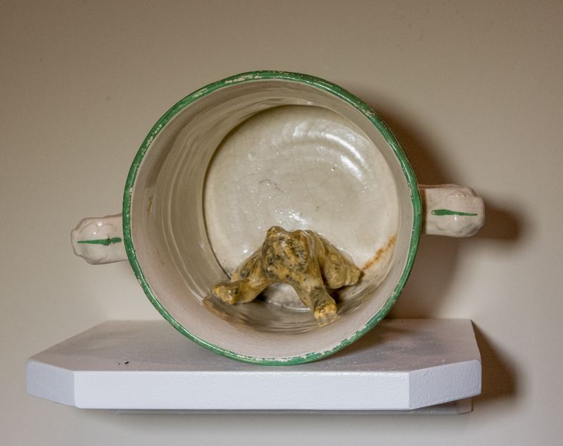  Frog Mug collection 76