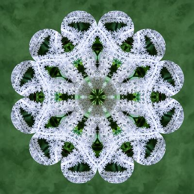 Fairy Wand kaldidoscope 