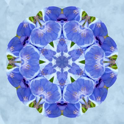 Blue Belles kaleidoscope