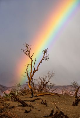 Death Valley Rainbow