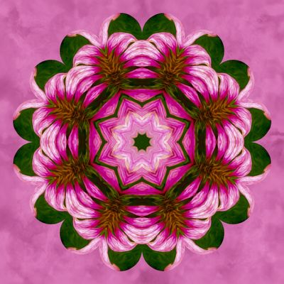 Cone Flower kaleidoscope