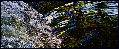 7 = IMG_0062 = Abstract in a River 6.jpg