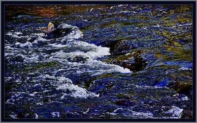 355 = IMG_0227 = Abstract in a River 16.jpg