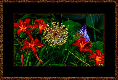 1524 = Et rotete blomsterbilde fra Botanisk hage =  _29A4516.jpg