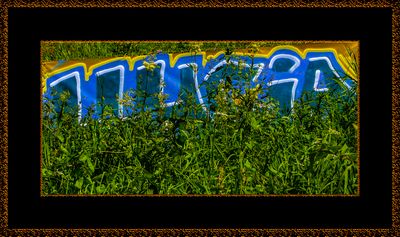 Urban-Art-2742 = _29A4462.jpg