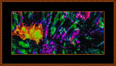 Abstrakt 2096 = _29A4919.jpg