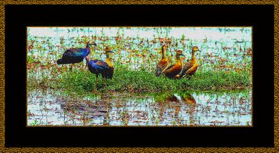 DIGITAL PAINTINGS FROM MY PHOTOS 3