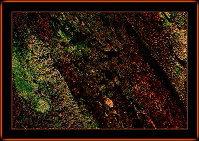 Abstrakt 2219 = IMG_5972.jpg