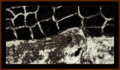Abstrakt 2260 = IMG_5154.jpg
