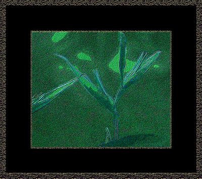 Abstrakt 2263 = IMG_5597 = komposisjon.jpg