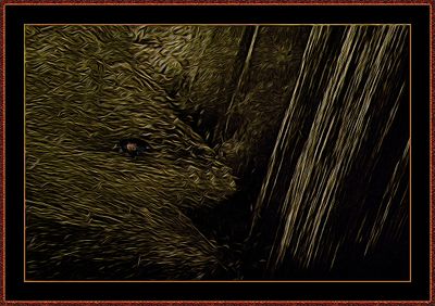 Abstrakt 2283 = IMG_2642.jpg