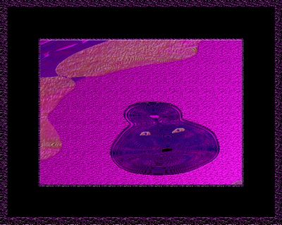 FROM AN OLD MANS SANDBOX 14