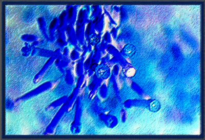 Abstrakt 2324 = IMG_0350 = I feel blue.jpg