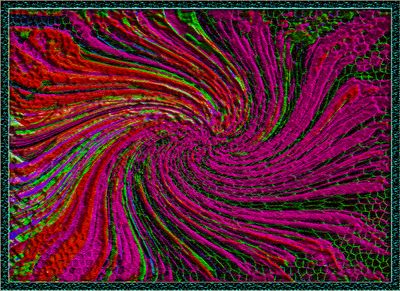 Abstrakt 2338 = I nettingen.jpg