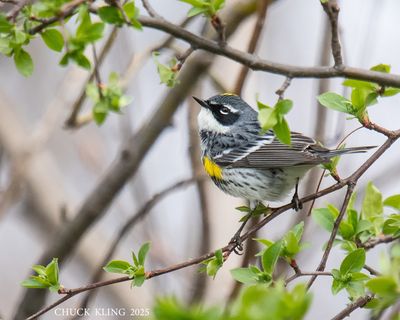 DSC_5640.jpg=800.jpg