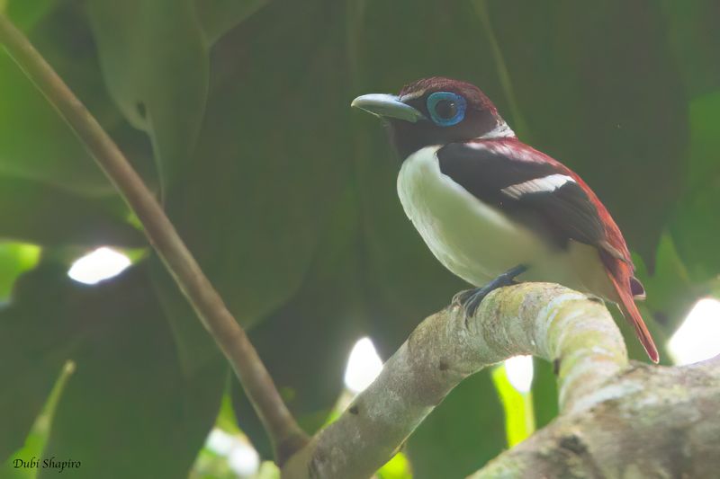 Philippines