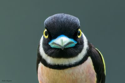 g13/16/890416/3/173905506.c4ba5158.JPEG