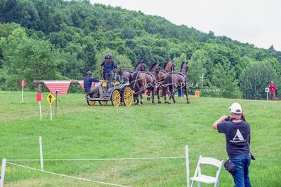 Internatoinal d'attelage Bromont 6/2024