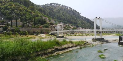 IMG_20240622_131144s.jpg