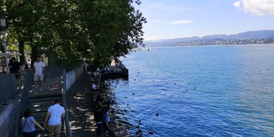 IMG_20240714_111854s.jpg